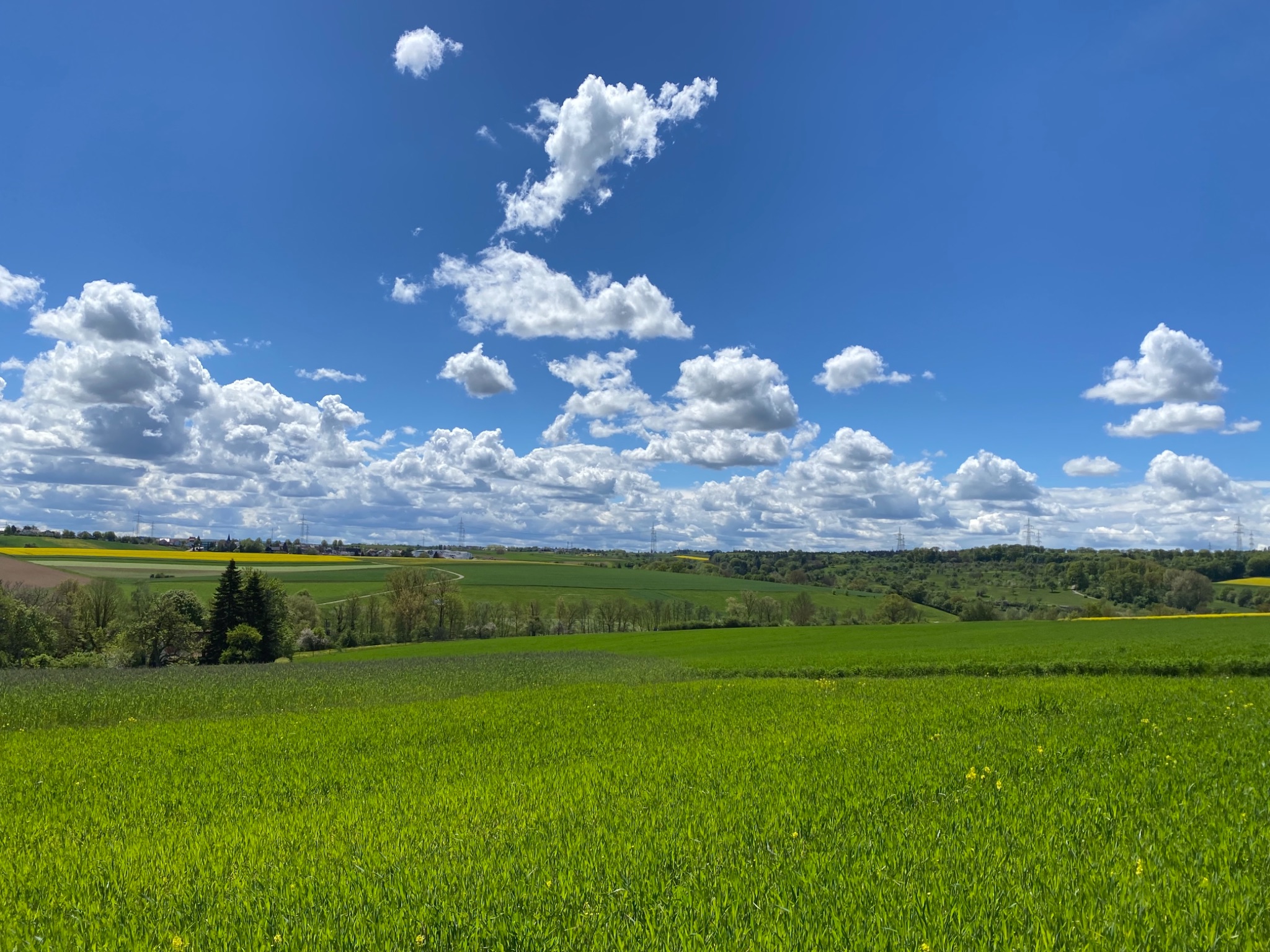 F6915F94 4A9E 43E4 86C1 3E20FAF03BF3