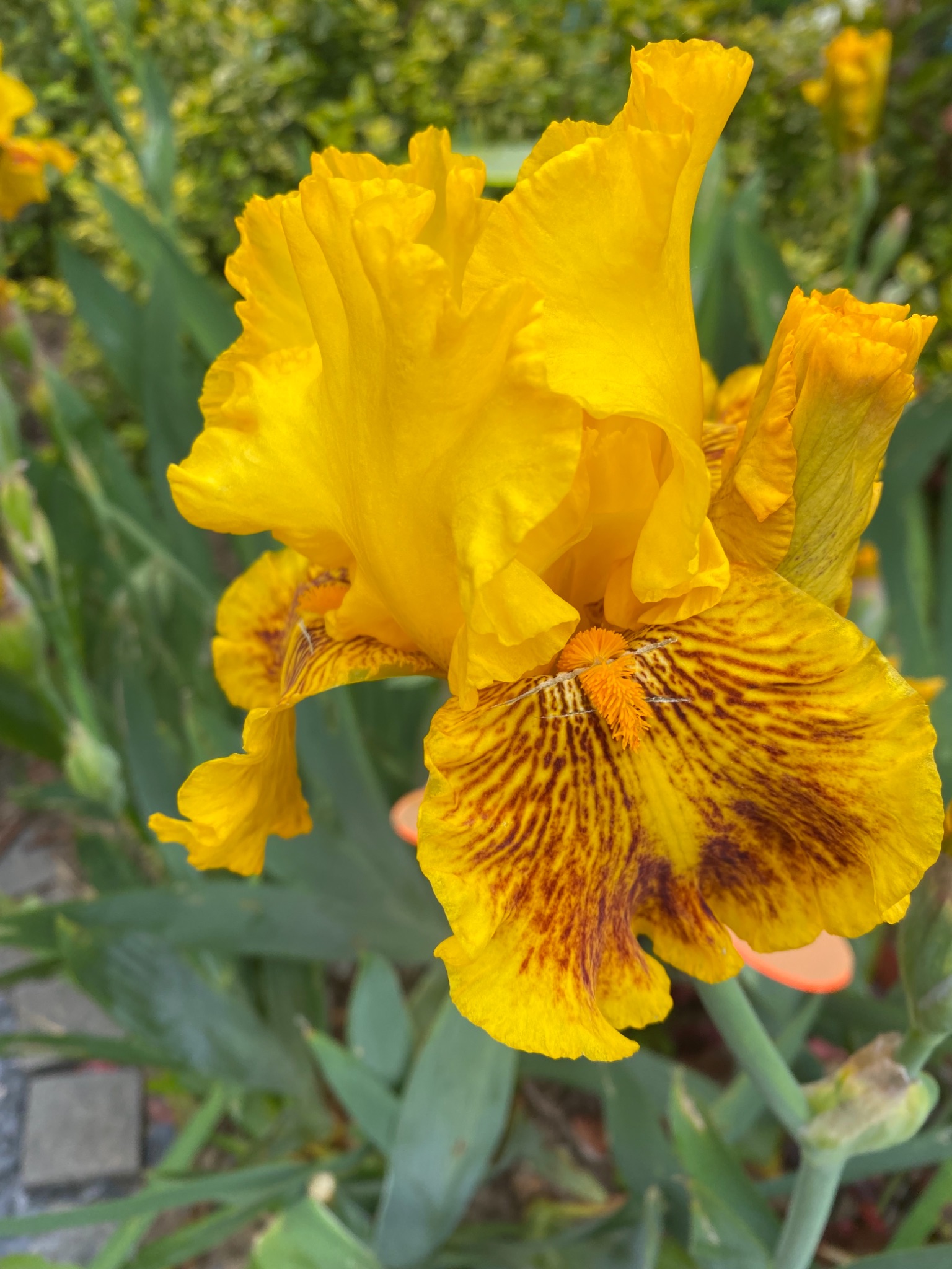 6C667062 74CB 4B92 B73B 8844A2A985D5